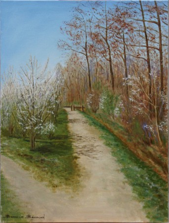 Chemin à Bois d'Arcy 65 x 50 cm